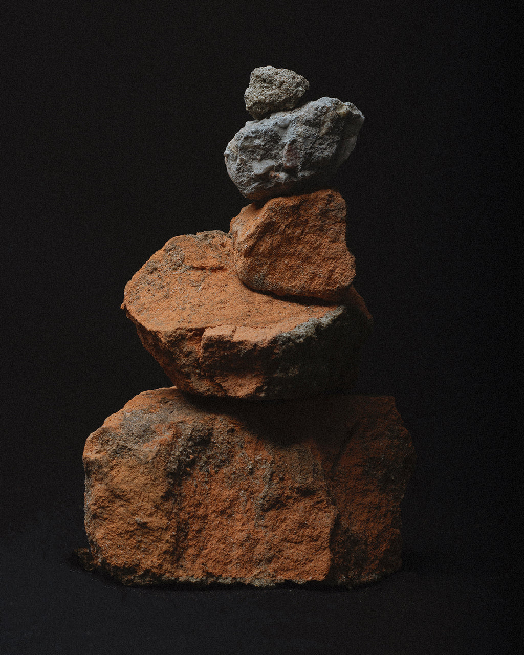 Calico Club / x Clarks Originals